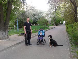 Собака-игрушка безопасна для всех, Киев