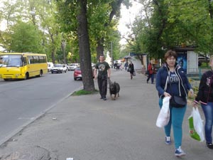 Собака-защитник – «оружие в кобуре», Киев