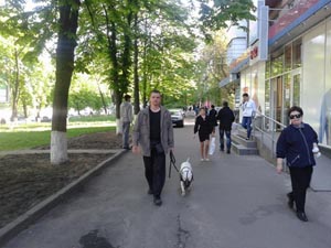 Не сложные правила с собакой – комфорт для всех, Киев